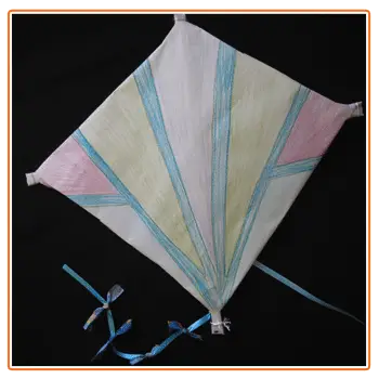 Flying Kite