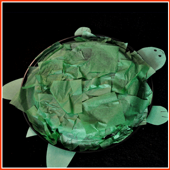 Turtle Shells Large