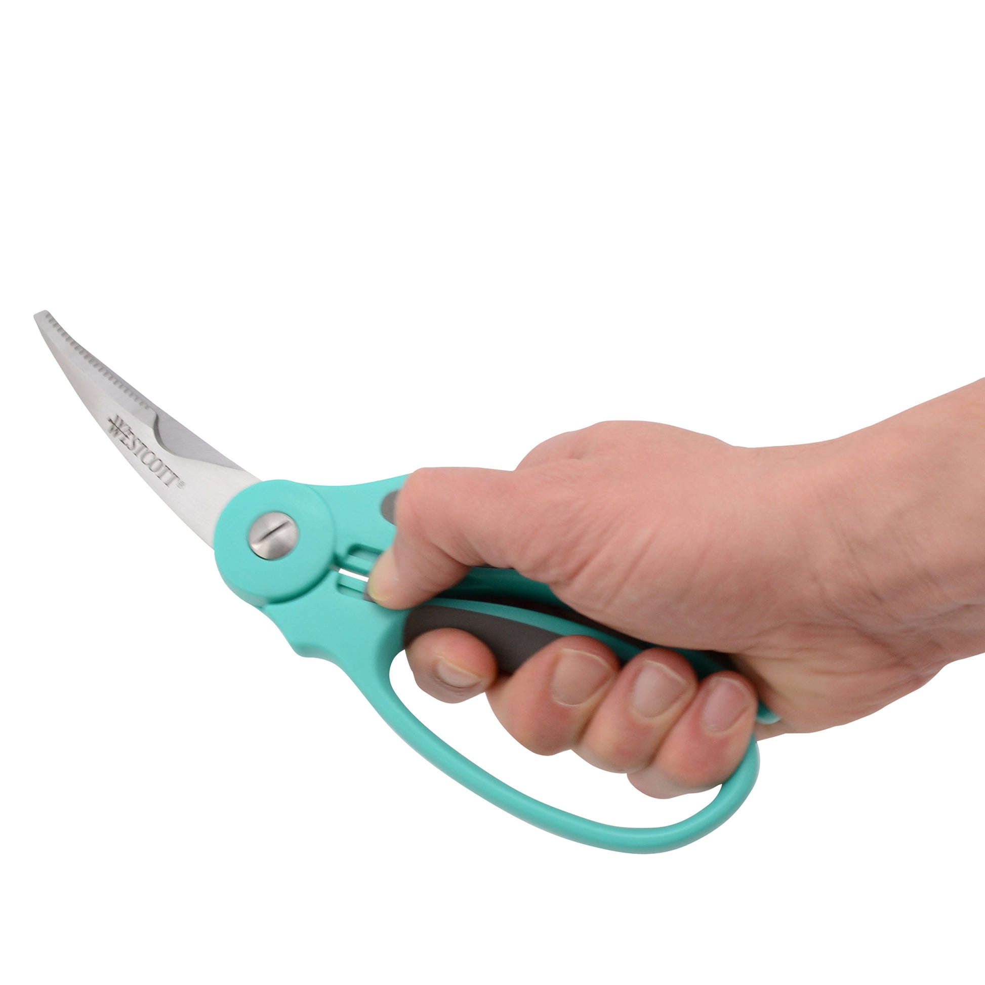 Westcott 9’’ Titanium Bonded Soft Handle Spring Assist Kitchen Shears Teal (00828) - World’s Favorite Scissors