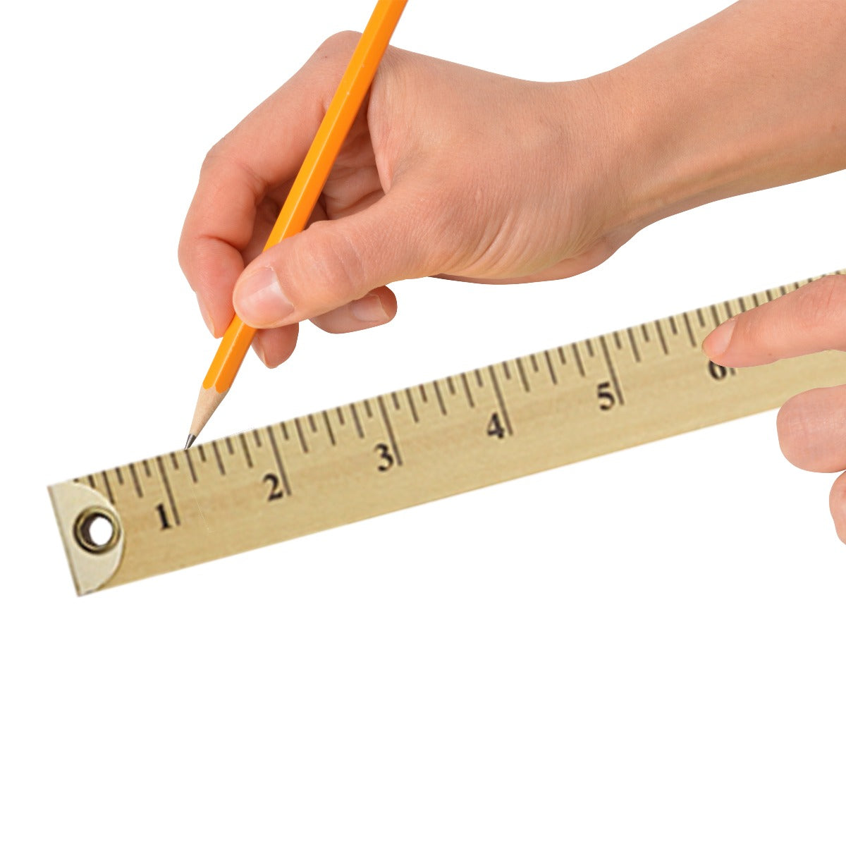 39 Cm Ruler Economy Stick Rulers For Teachers 24pcs Meter Sticks 39in Stick Ruler ...